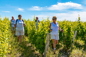 La Randonnée Autour de chenonceaux