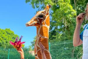 Voyage au pays des oiseaux par la compagnie Tout Cour
