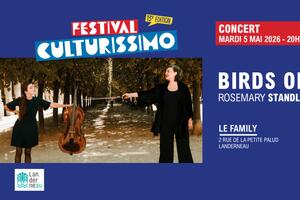 Festival Culturissimo - Birds On A Wire