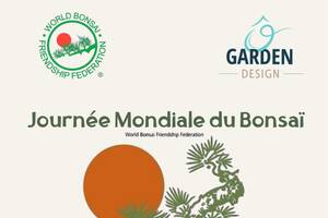 Journée mondiale du bonsaï chez Ô Garden Design®