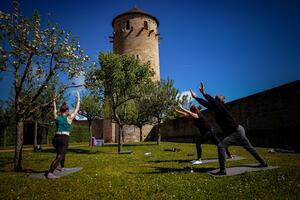 Initiations yoga au musée