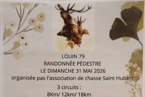 Randonnée pédestre