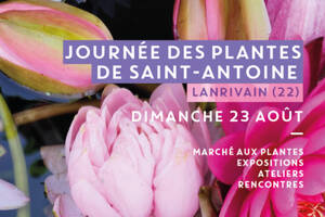Journée des plantes de Saint-Antoine - Festival Lieux mouvants
