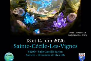 Bourse aux minéraux, fossiles et bijoux