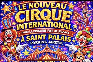 Le nouveau cirque international