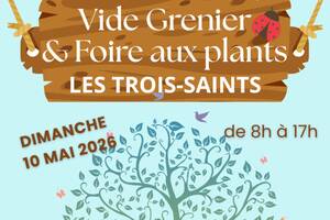Vide grenier et foire aux plants
