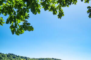 Parcours-découverte au cœur des collections