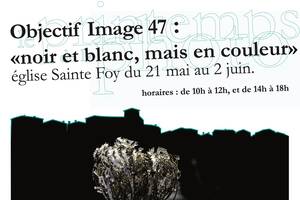 EXPOSITION PHOTOS