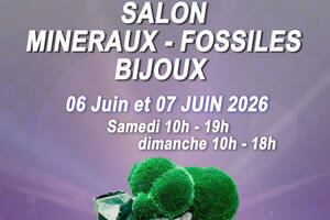 Salon minéraux, fossiles, bijoux de créateur.