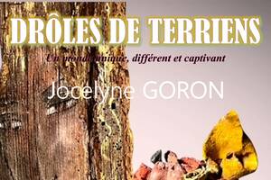 DRÔLES DE TERRIENS