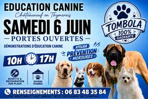 Fête du chien / Education canine chateauneuf en thymerais