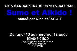 ARTS MARTIAUX TRADITIONNELS JAPONAIS - SUMO ET AIKIDO