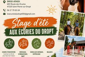 Stage d'été à cheval ou poney