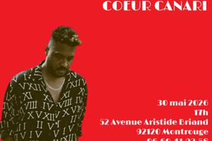 Jann Halexander en concert 'COEUR CANARI' à Montrouge