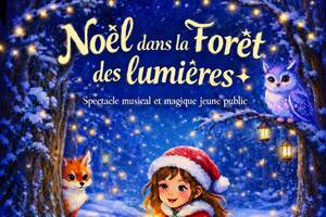 Noël dans la forêt des lumières