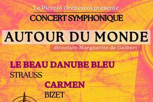 Le Voyage du Piccolo Orchestra