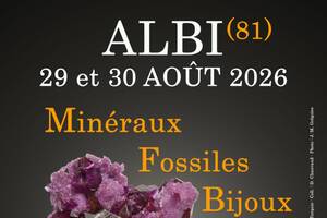 11e SALON MINERAUX FOSSILES BIJOUX
