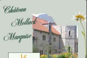 Visite du jardin ethnobotanique de Marquise