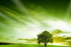 Vive les vers verts !
