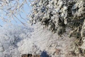 Le barde de Gascogne fête le solstice d'hiver