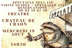 Roman de Renart, spectacle solo