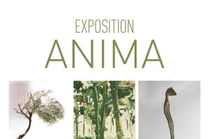 Anima