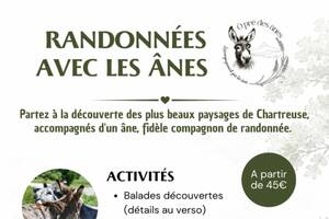Balades contées, musicales et pastorales avec les ânes au cœur de la Chartreuse