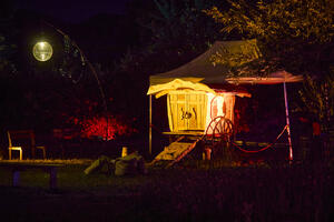 Féeries Nocturnes au Jardin