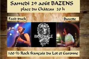 Concert 100 % Rock français du Lot et Garonne