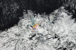 Vestige • exposition collective