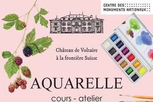 Cours d'aquarelle botaniqe