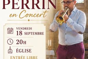 Julien Perrin en concert
