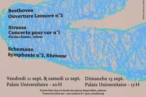 Concerts de rentrée | Horizons rhénans