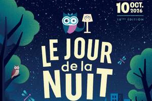 Balade nocturne insolite