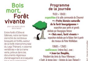 Conférence, exposition: Bois mort, Forêt vivante