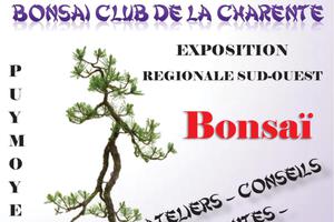 photo Exposition Régionale de Bonsaïs