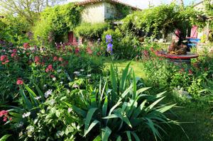 Bienvenue dans mon jardin au naturel - le Jardin de la mère Cucu