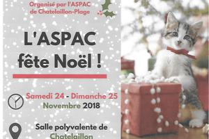 photo MARCHE DE NOEL