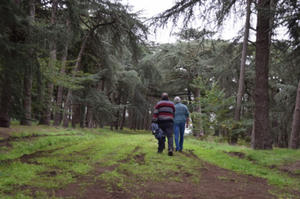 photo Randonnées du Pays d'Ancenis