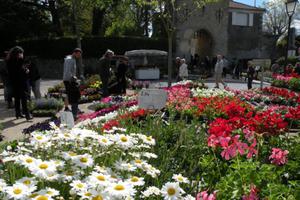 photo Les créneaux fleuris