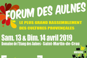 photo Forum des Aulnes 2019 - Le plus grand rassemblement de cultures provençales