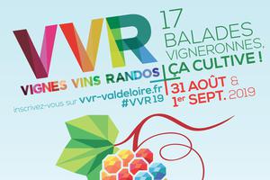 photo VIGNES, VINS, RANDOS EN VAL DE LOIRE 16ème édition !