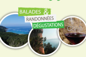 photo Balades & Randonnées Dégustations en Corse