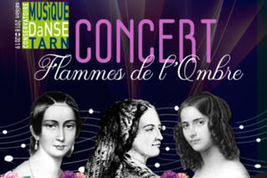 photo Concert