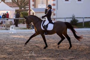 photo Concours National de Dressage