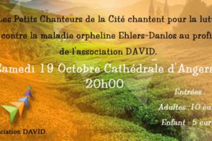 photo concert des Petits Chanteurs de la Cité à la Cathédrale d'Angers