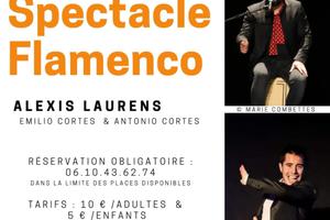 SPECTACLE FLAMENCO