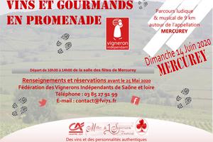 photo Marche gourmande Vins et Gourmands en Promenade