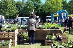 marché aux fleurs et produits régionaux