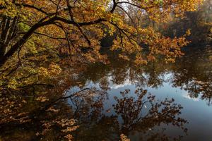 photo exposition PHOTO Richard MALPAS